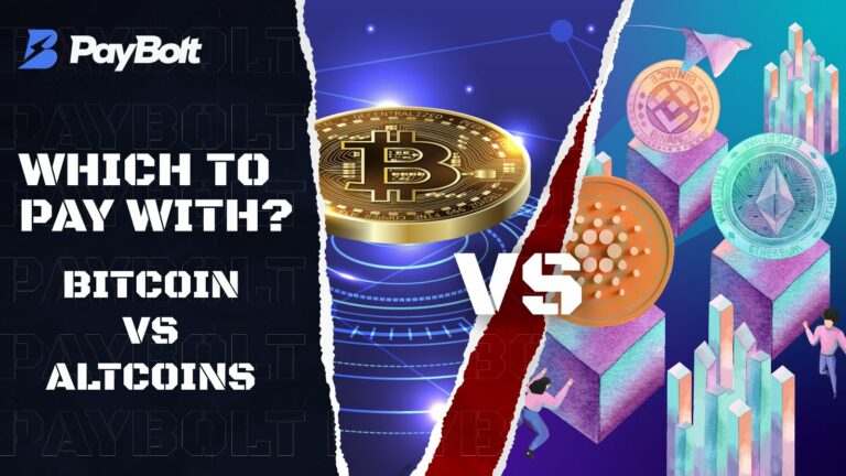 Bitcoin or Altcoins, which to Pay with?